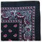 Daily Basic 100% Cotton X-Large Paisley Double Sided Printed Bandana